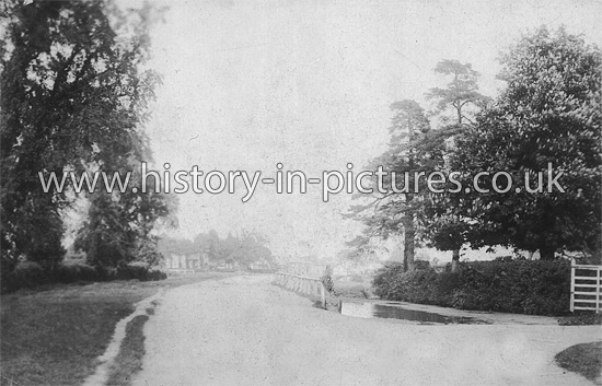 Sheering Road, Hatfield Heath, Essex. c.1907